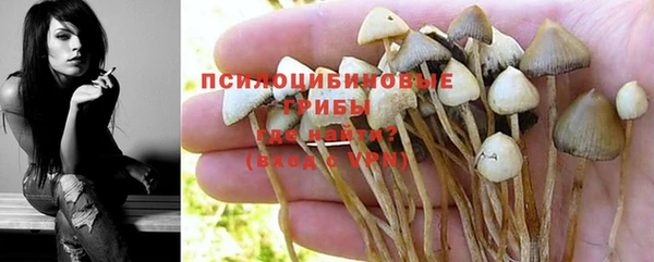 MESCALINE Богданович