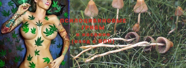 MESCALINE Богданович