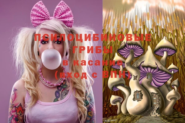 mdma Богородицк