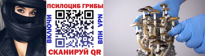 купить   Октябрьский  Псилоцибиновые грибы ЛСД 